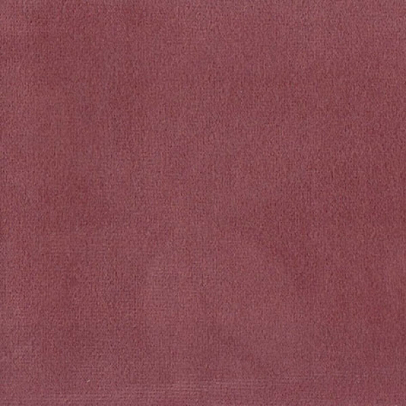 Колибри берри