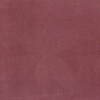 Колибри берри