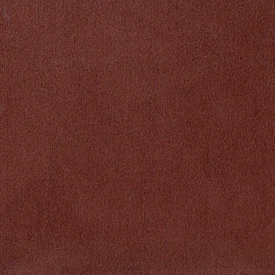 Колибри браун