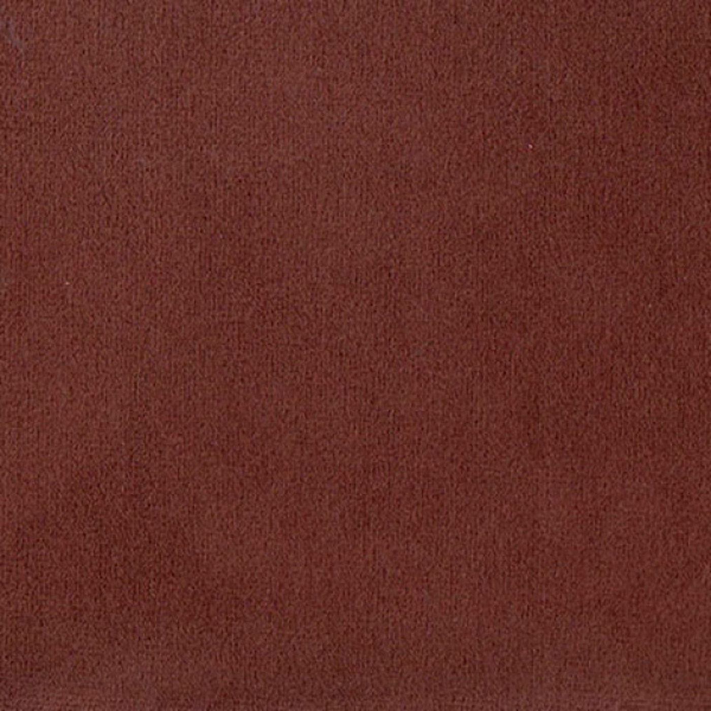 Колибри браун