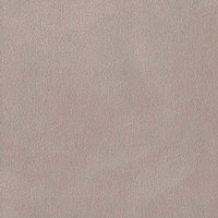 Колибри кэмел