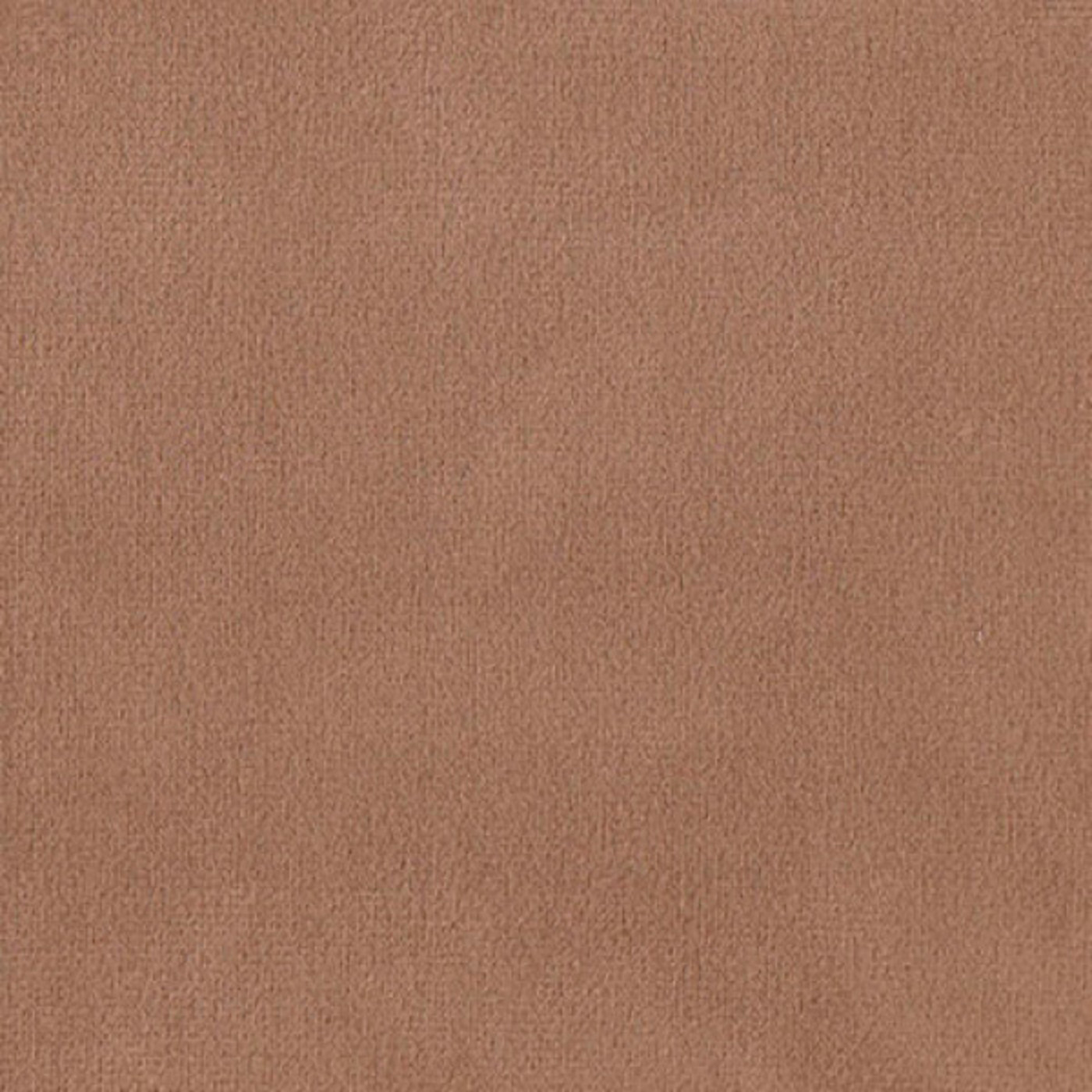 Колибри карамель