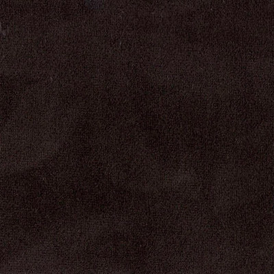 Колибри шоколад