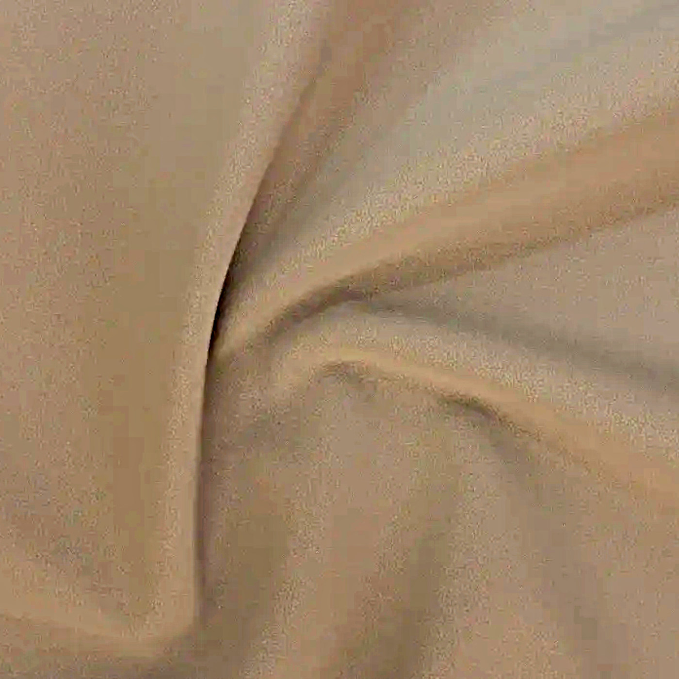 Лайф акорн (Желудь - Life acor n)