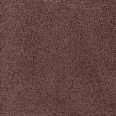 Колибри корица