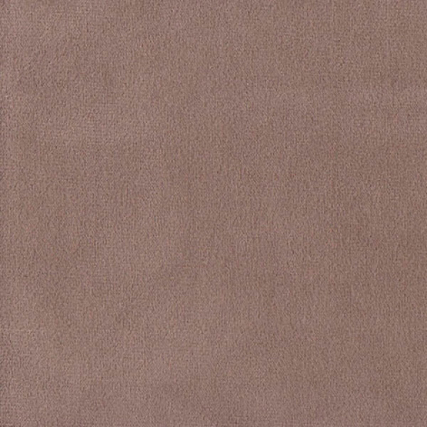 Колибри латте