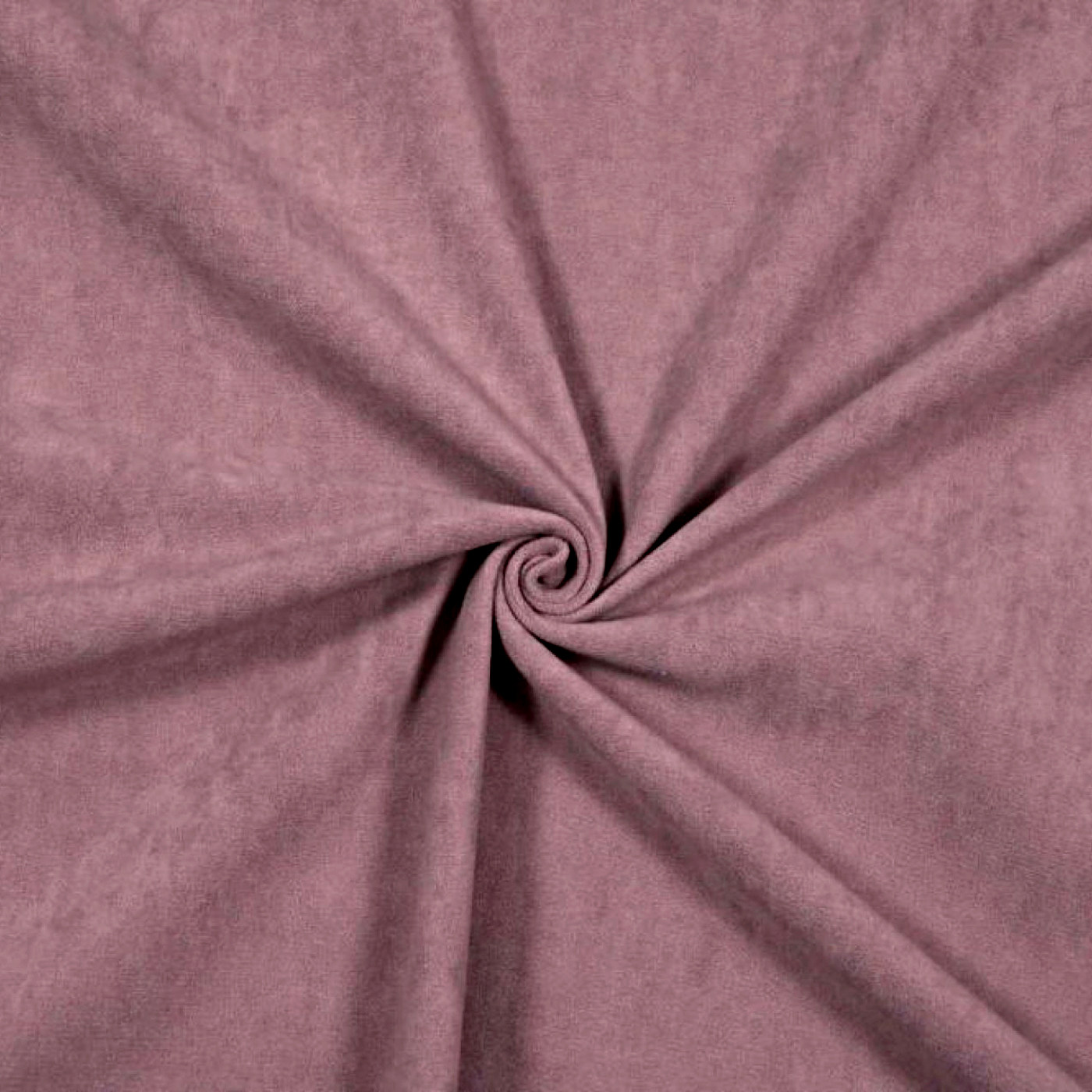 Боска 21 (пыльная роза)