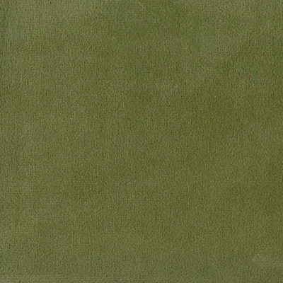 Колибри минт