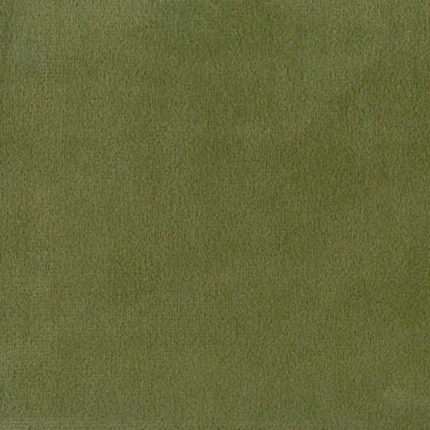 Колибри минт