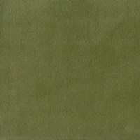 Колибри минт