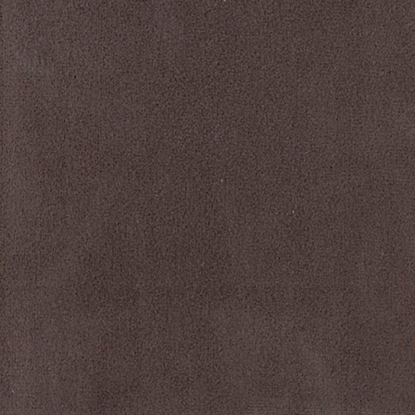 Колибри мокко