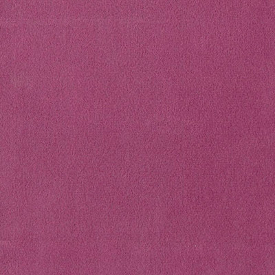 Колибри пинк