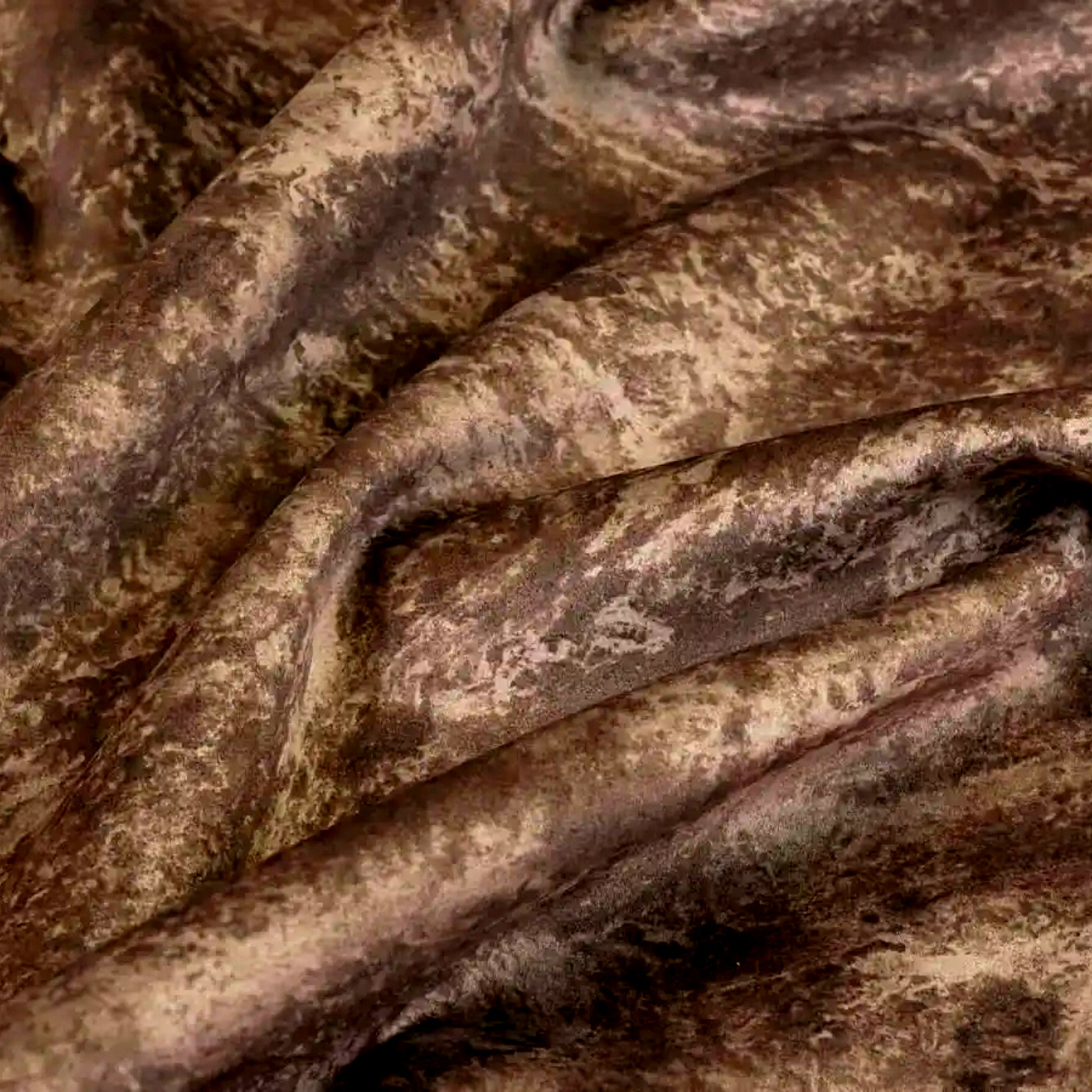 Сиеста кориза