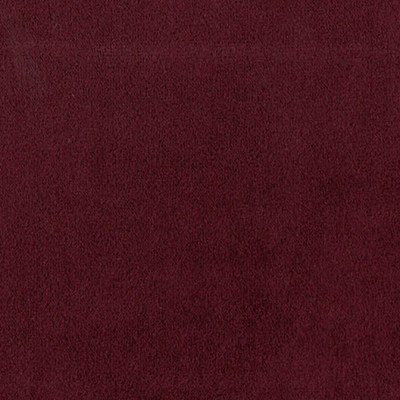 Колибри плюм