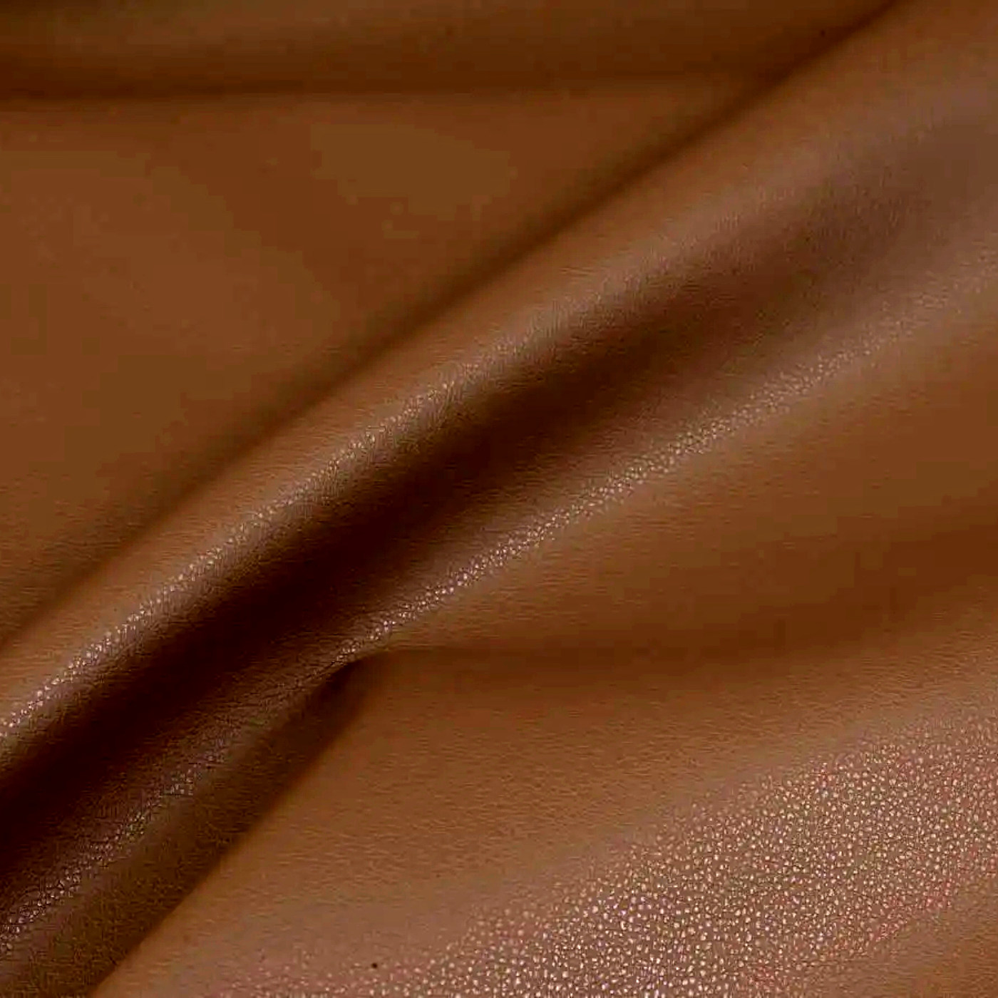 Поло корица