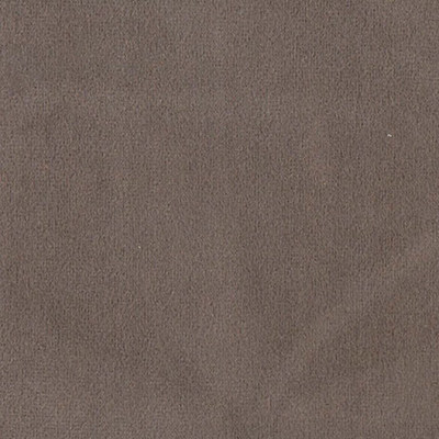 Колибри стоун