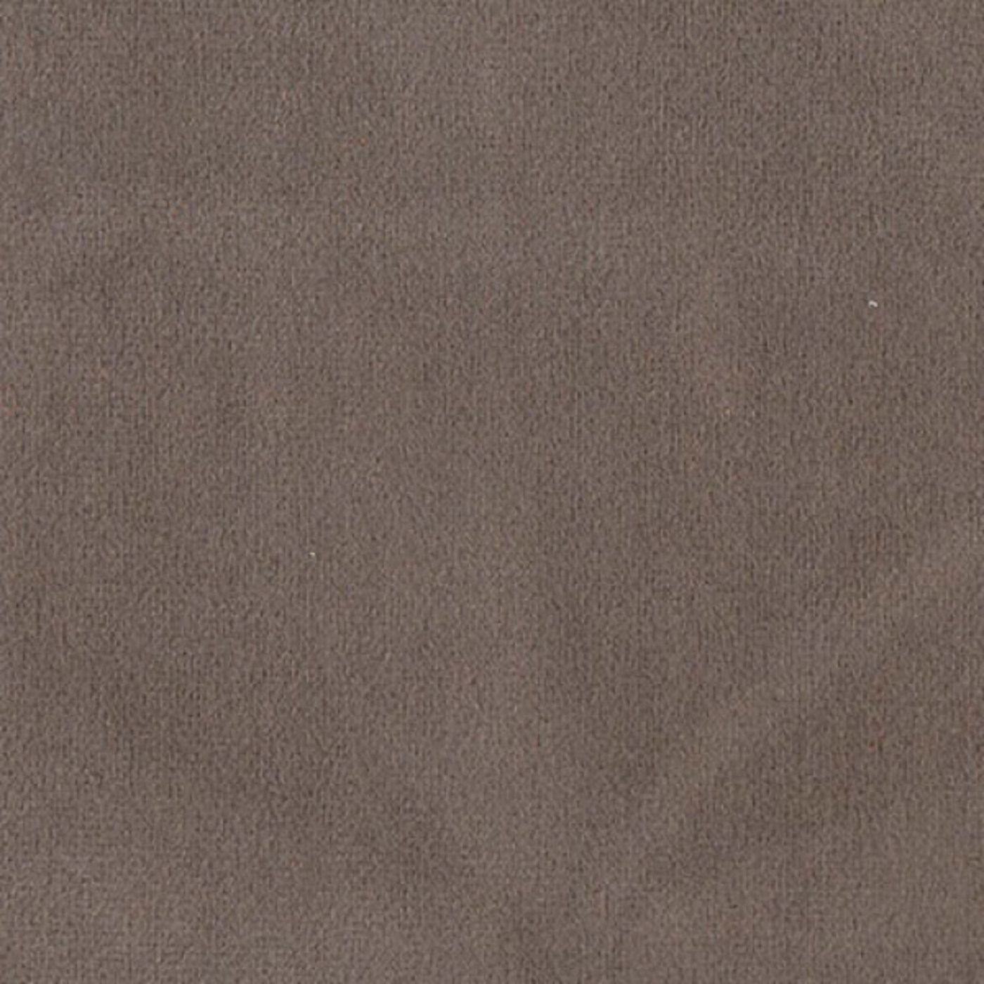 Колибри стоун