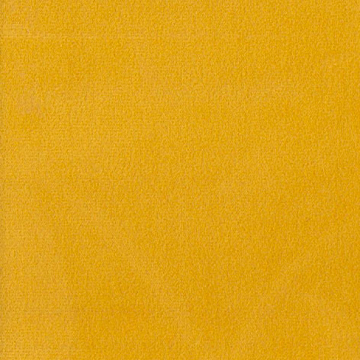 Колибри санни