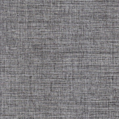 Тесла сильвер