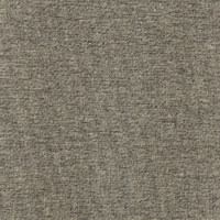 Тесла стоун