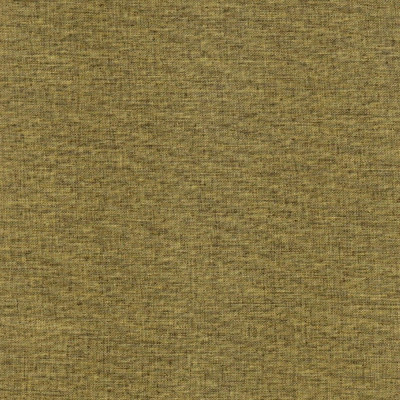 Тесла олива