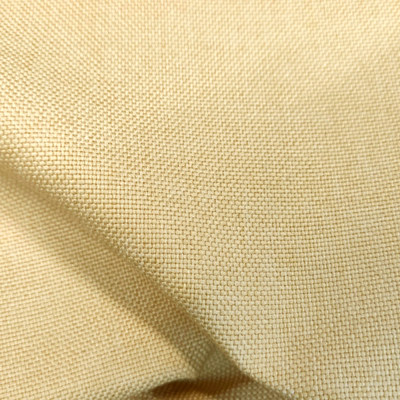 Савана 01