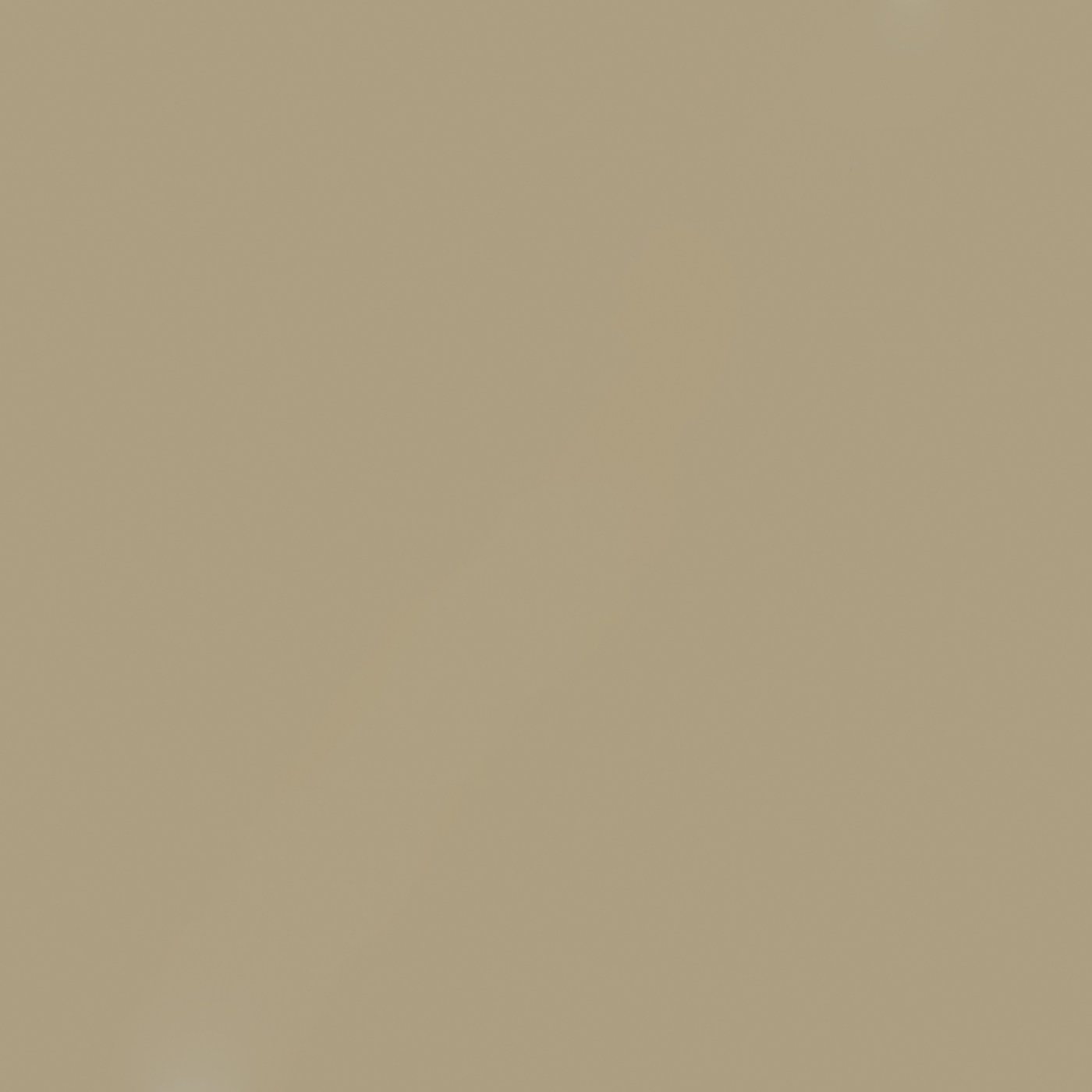 Пленка Силк камелия 51924