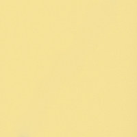 Пленка Софт беж 05059