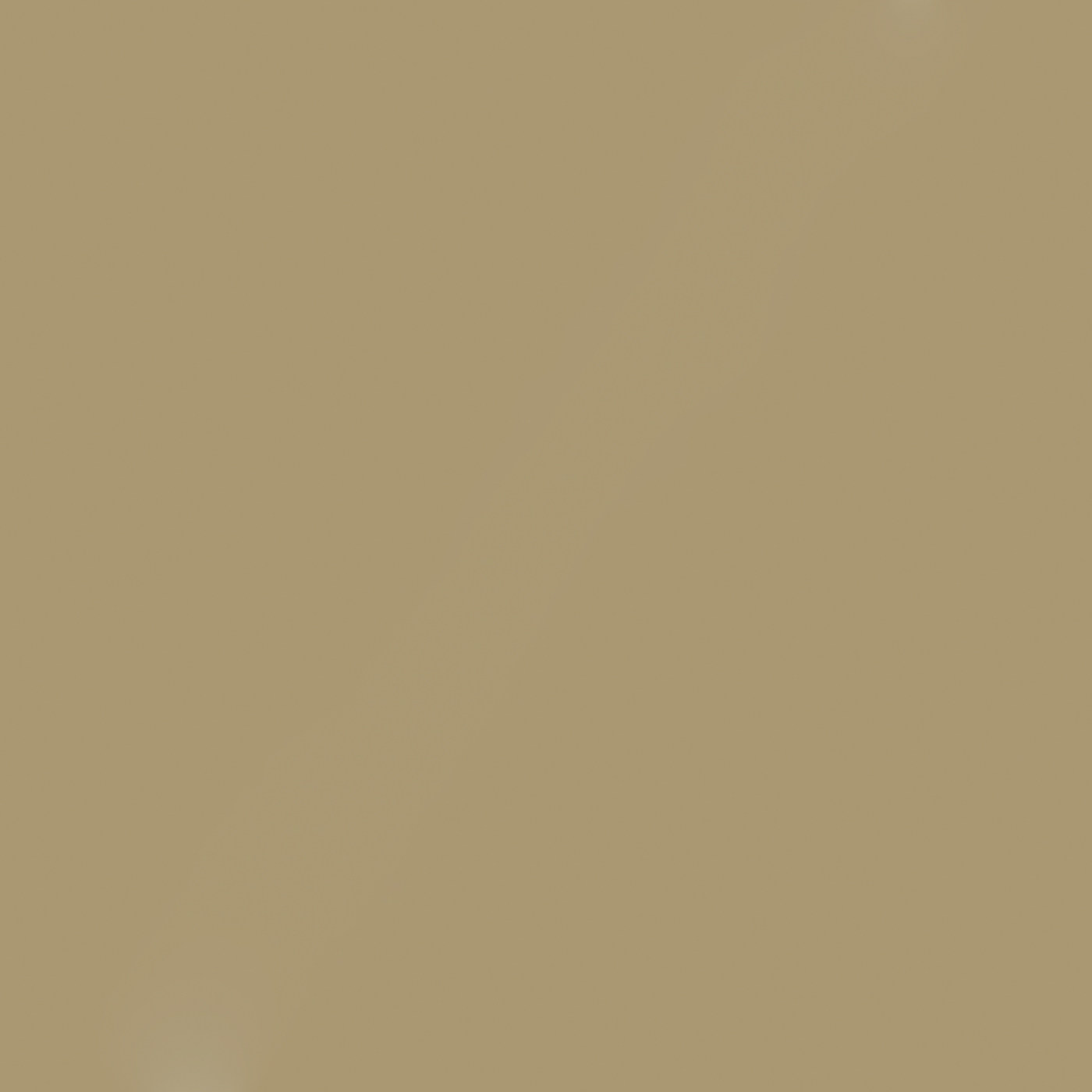 Пленка Силк имбирь 51949