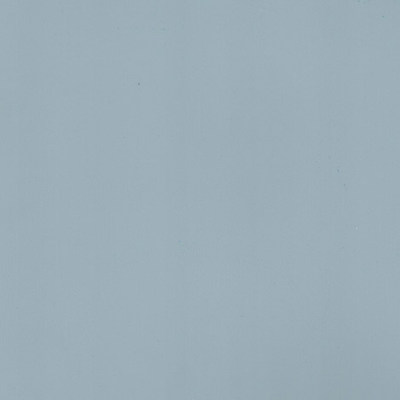 Пленка Тополь скай 0571