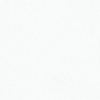 Пленка Белая шагрень 0019091