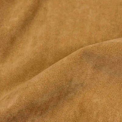 Катания камел