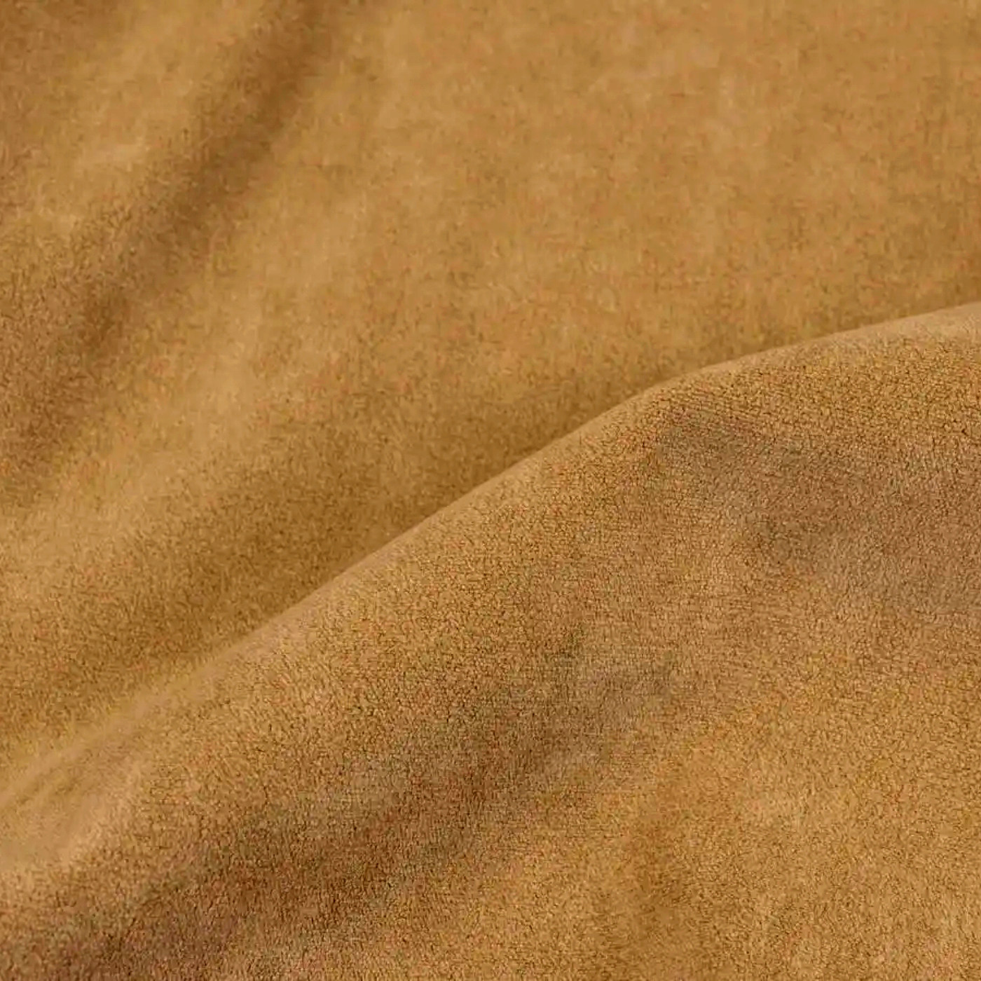 Катания камел