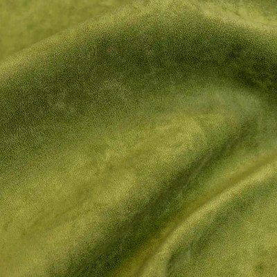 Катания форест