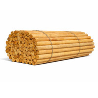 Карандаш березовый (тонкий)