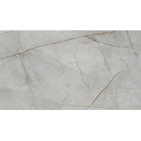 СФ ПФ28мм Серый Каспий 800 №77