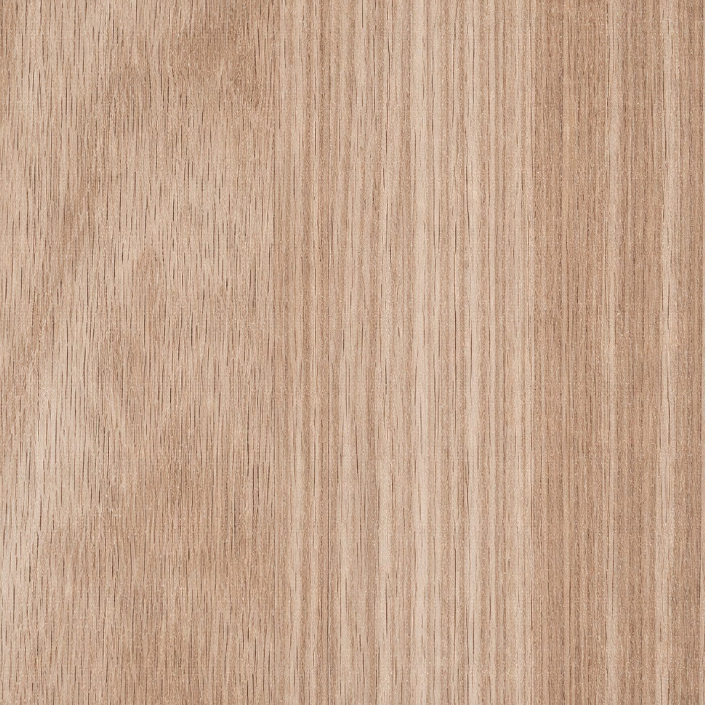 Фасадная плита РЕХАУ Forest Золотой орех 1220*2800*18мм 2590L