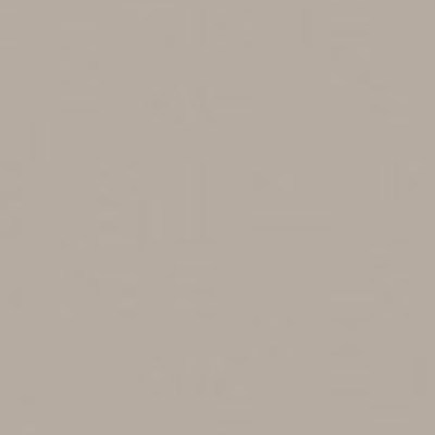 Фасадная плита РЕХАУ Aquarelle PET Утренний капучино 1220*2800*18мм 2599L