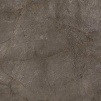 СФ ПФ38мм Бронзовый Каспий 800 №75 гл