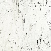 СФ ПФ38мм Полярная звезда Два завала №296Л