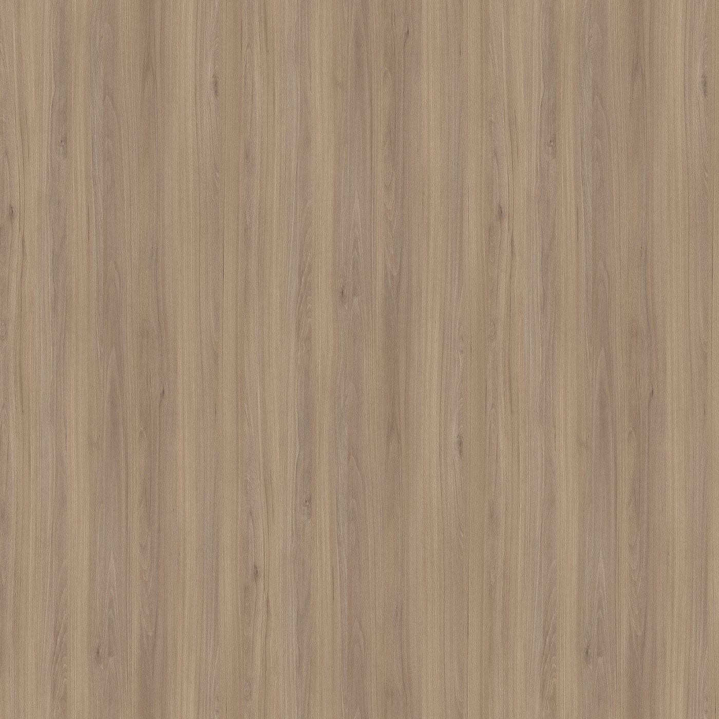 Бук Калининградский мокко S01 - Матовый D.321.S01 ЛДСП 2800x2070x16мм Экстраверт