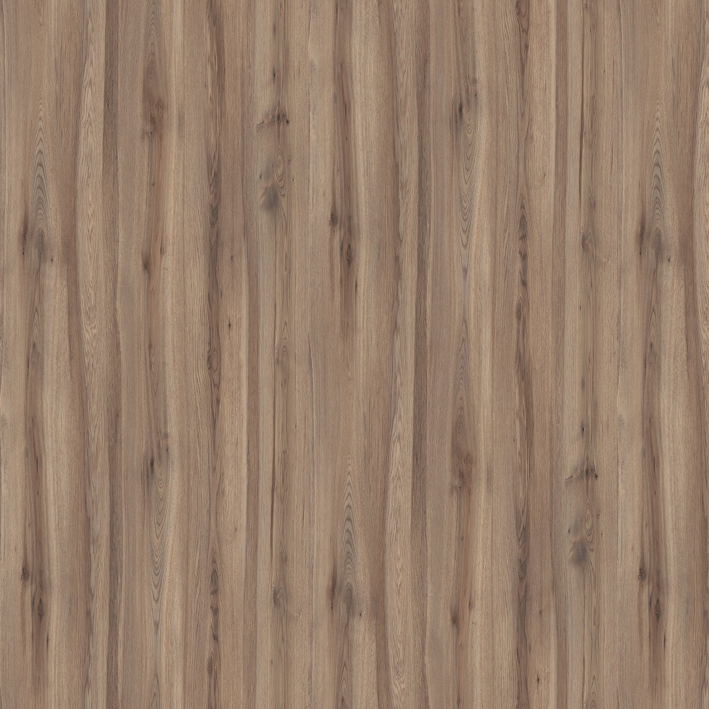 Дуб Елецкий гречишный S01 - Матовый D.309.S01 ЛДСП 2800x2070x16мм Экстраверт