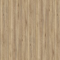 Дуб Астраханский ржаной W04 - Фактурные поры D.304.W04 ЛДСП 2800x2070x16мм Экстраверт