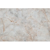 СФ ПФ38мм Барселона  800 №203