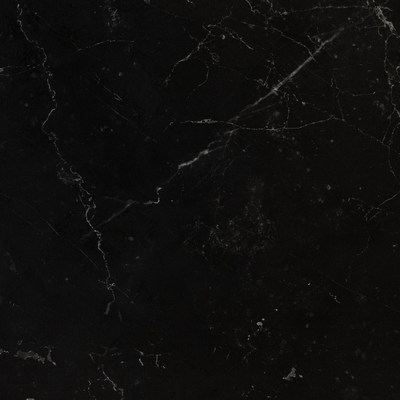 СФ Панель Венеция черная №49