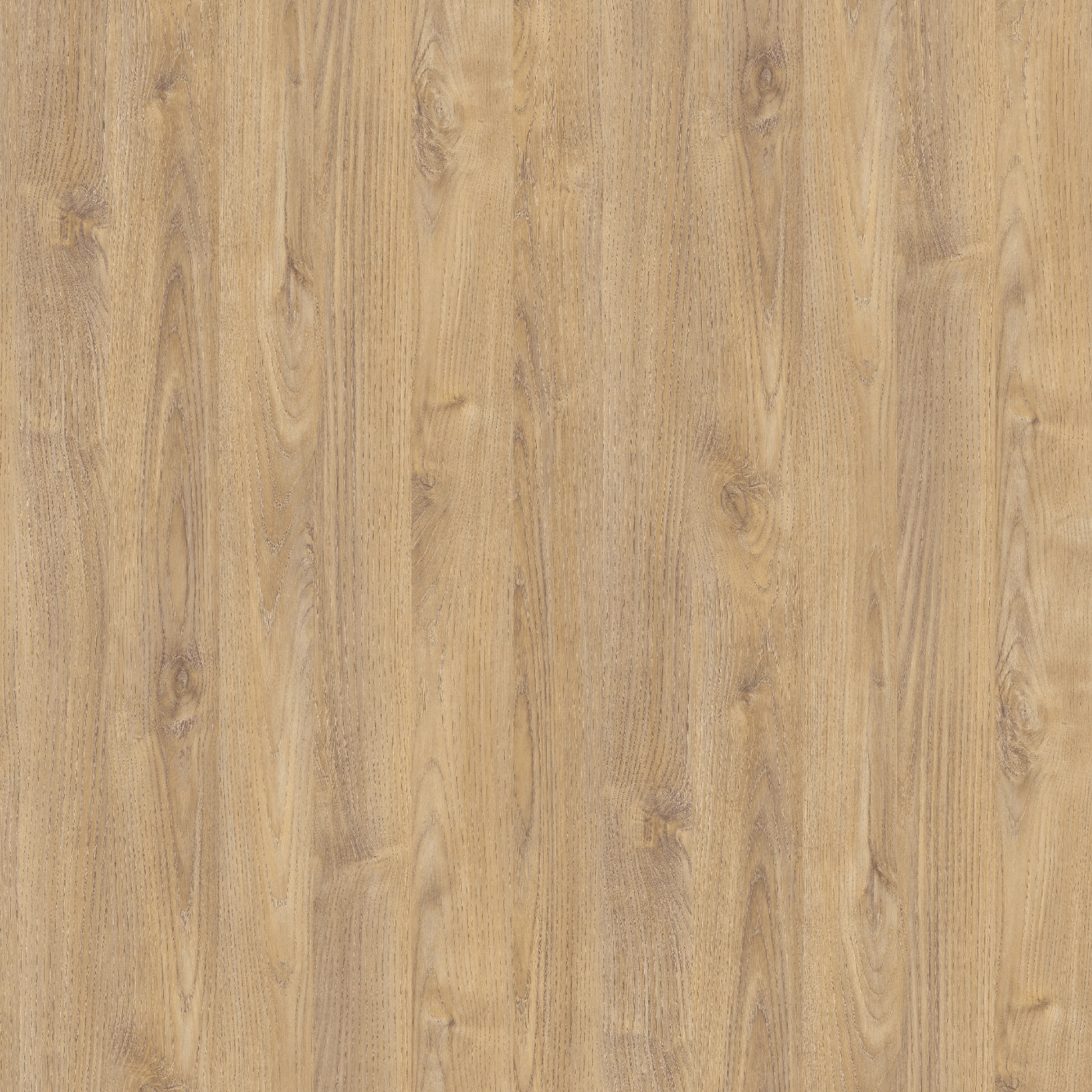 Каштан Черноморский мокко S01 - Матовый D.313.S01 ЛДСП 2800x2070x16мм Экстраверт