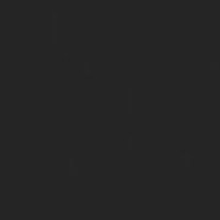 Черный шунгитовый S01 - Матовый M.900.S01 ЛДСП 2800x2070x16мм Экстраверт