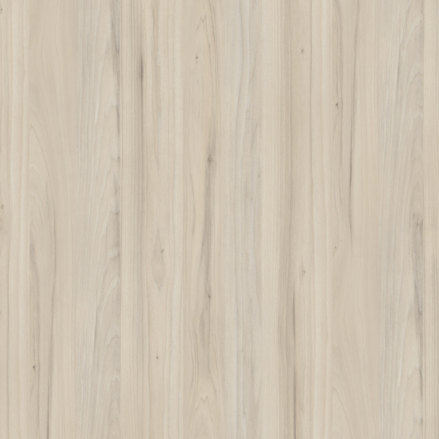 Магнолия Курильская ванильная S01 - Матовый D.340.S01 ЛДСП 2800x2070x16мм Экстраверт