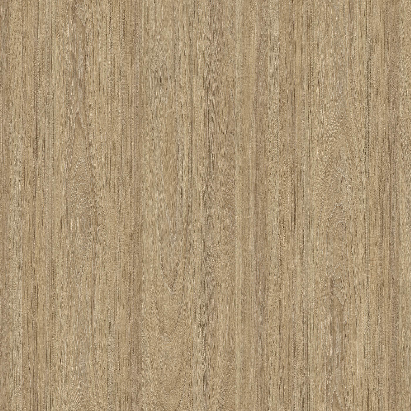 Вяз Натуральный Благородный 5500SU ЛДСП 2800x2070х25мм Ультрадекор (Kronospan)