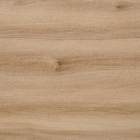 Столешница №146 Вяз 3000x1200x38 R9 Матовая Скиф